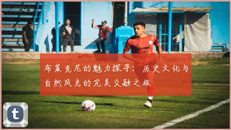 布莱克尼的魅力探寻：历史文化与自然风光的完美交融之旅